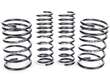 Coil Spring Lowering Kit / Shock Absorber Kit