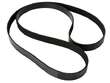 Accessory Drive Belt