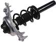 Strut and Coil Spring Assembly