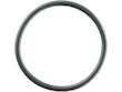 Water Pump Housing O Ring