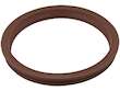 Fuel Pump Seal