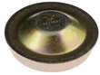 Wheel Bearing Dust Cap