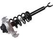Strut and Coil Spring Assembly