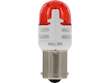 Tail Light Bulb