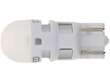 Tail Light Bulb