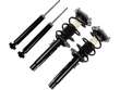 Shock Strut and Coil Spring Kit