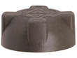 Radiator Cap