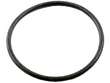 Thermostat Gasket