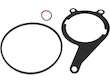 Vacuum Pump Seal