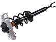 Strut and Coil Spring Assembly