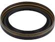 Timing Cover Gasket