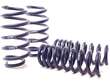 Coil Spring Lowering Kit / Shock Absorber Kit
