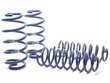 Coil Spring Lowering Kit / Shock Absorber Kit