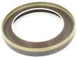 Timing Cover Gasket