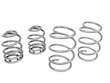 Coil Spring Lowering Kit / Shock Absorber Kit