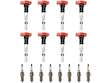 Ignition Coil and Spark Plug Kit
