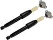 Shock Absorber Set