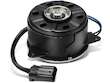 Radiator Fan Motor