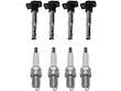 Ignition Coil and Spark Plug Kit