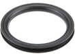 Fuel Tank Cap Gasket