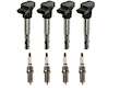 Ignition Coil and Spark Plug Kit