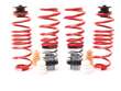 Coil Spring Lowering Kit / Shock Absorber Kit