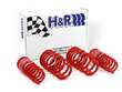 Coil Spring Lowering Kit / Shock Absorber Kit