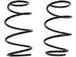 Coil Spring Set