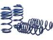 Coil Spring Lowering Kit / Shock Absorber Kit