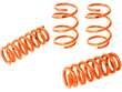 Coil Spring Lowering Kit / Shock Absorber Kit