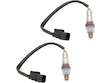 Oxygen Sensor Set