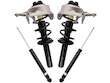 Shock Strut and Coil Spring Kit