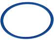 Direct Injection High Pressure Fuel Pump O-Ring
