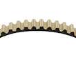 Timing Belt
