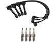 Spark Plug Wire Set with Spark Plugs