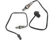 Oxygen Sensor Kit