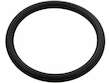 Radiator Coolant Hose Seal