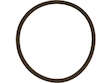 Thermostat Gasket