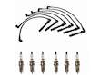 Spark Plug Wire Set with Spark Plugs