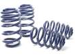 Coil Spring Lowering Kit / Shock Absorber Kit