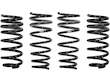 Coil Spring Lowering Kit / Shock Absorber Kit