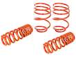 Coil Spring Lowering Kit / Shock Absorber Kit