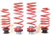 Coil Spring Lowering Kit / Shock Absorber Kit