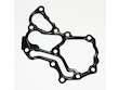 Crankshaft Cover Gasket