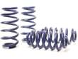 Coil Spring Lowering Kit / Shock Absorber Kit