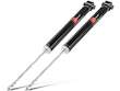 Shock Absorber Set