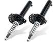 Strut and Coil Spring Assembly Set