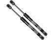 Hood Strut Set