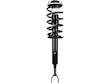 Strut and Coil Spring Assembly