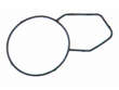 Thermostat Housing Seal